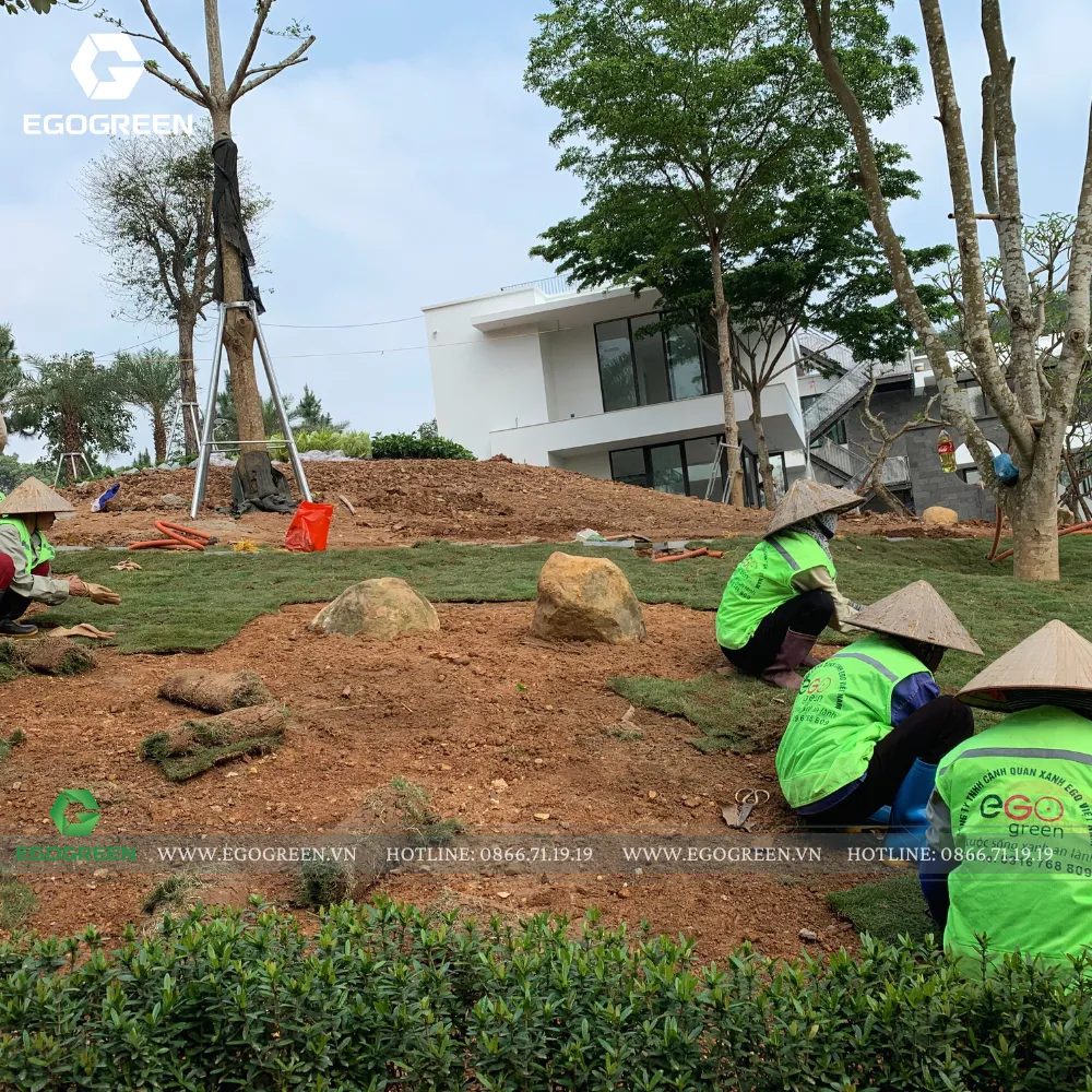 EGOGREEN - đối tác tin cậy của nhiều khu nghỉ dưỡng